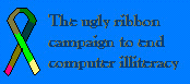 End computer illiteracy